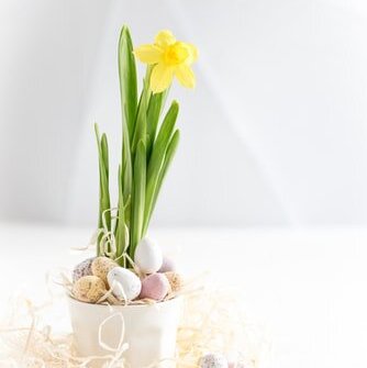 photo-1522439368130-c74c519afbb3.jfif